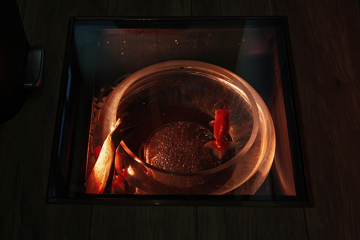 店主がデザインする 完全個室の隠れ家